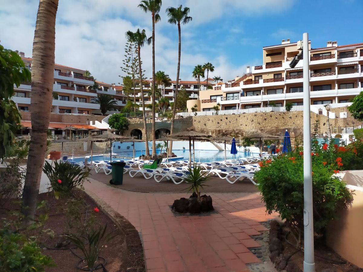 Apartment South Tenerife San Miguel de Abona Eksteriør bilde
